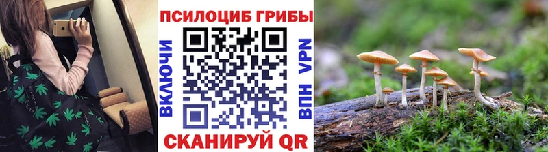 Купить закладки  Калязин  Галлюциногенные грибы ЛСД 